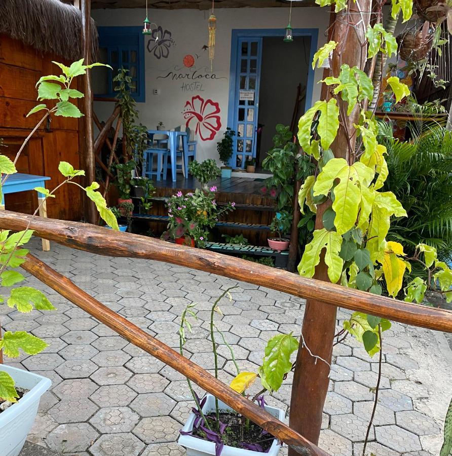 Praia de Pipa Aurora Hostel מראה חיצוני תמונה