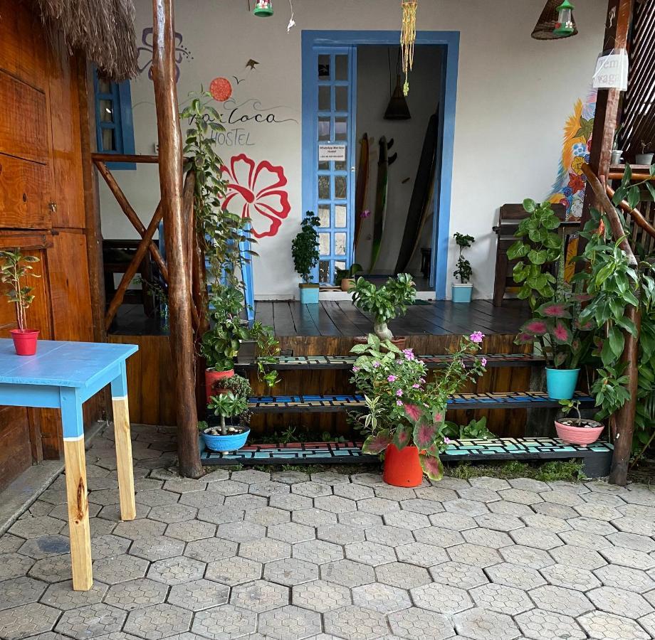 Praia de Pipa Aurora Hostel מראה חיצוני תמונה