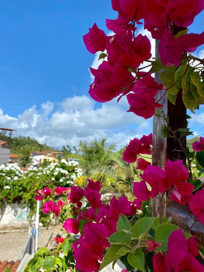 Praia de Pipa Aurora Hostel מראה חיצוני תמונה
